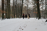 Nikolausritt-2010-123.jpg