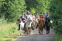 Islaender-070710-001.JPG