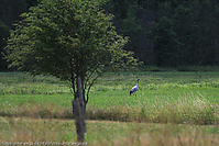 Reitschule-Fohlenweide-67.jpg