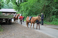 Kinderfest-2010-0005.jpg