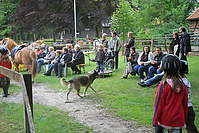 Kinderfest-2010-0021.jpg