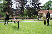 Kinderfest-2010-0388.jpg