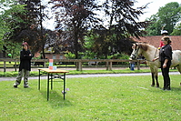 Kinderfest-2010-0389.jpg