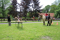 Kinderfest-2010-0390.jpg