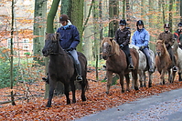 Gruenkohlritt-2010-032.JPG