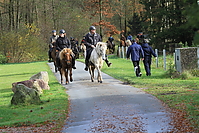 Gruenkohlritt-2010-043.JPG