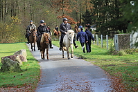 Gruenkohlritt-2010-044.JPG