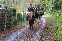 Gruenkohlritt-2010-055.JPG