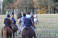 Gruenkohlritt-2010-077.JPG