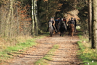 Gruenkohlritt-2010-082.JPG