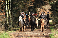 Gruenkohlritt-2010-089.JPG