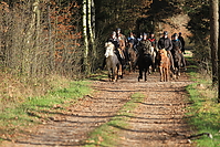 Gruenkohlritt-2010-097.JPG