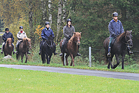 Islaenderhof-Gruenkohlritt-2010-56.jpg