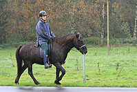 Islaenderhof-Gruenkohlritt-2010-63.jpg