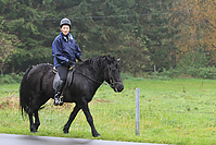 Islaenderhof-Gruenkohlritt-2010-65.jpg