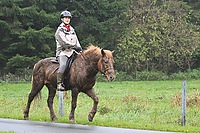 Islaenderhof-Gruenkohlritt-2010-67.jpg