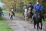 Zuhause-Islaenderhof-Gruenkohlritt-2010-_283329.jpg