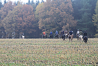 Zuhause-Islaenderhof-Gruenkohlritt-2010-_28429.jpg