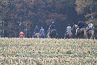 Zuhause-Islaenderhof-Gruenkohlritt-2010-_28629.jpg