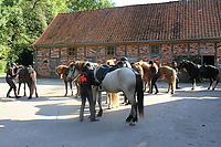 Heidebluetenritt-2010-0001.JPG