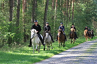 Heidebluetenritt-2010-0046.JPG