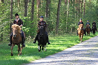 Heidebluetenritt-2010-0065.JPG