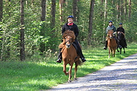 Heidebluetenritt-2010-0077.JPG