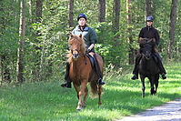 Heidebluetenritt-2010-0085.JPG