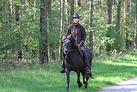 Heidebluetenritt-2010-0091.JPG