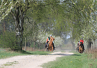 Islaenderhof-Osterferien-103.jpg