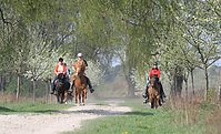 Islaenderhof-Osterferien-104.jpg