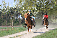 Islaenderhof-Osterferien-115.jpg