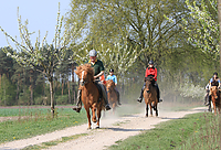 Islaenderhof-Osterferien-117.jpg