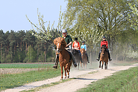 Islaenderhof-Osterferien-122.jpg