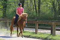 Islaenderhof-Osterferien-222.jpg