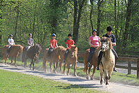 Islaenderhof-Osterferien-282.jpg