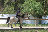 Islaenderhof-Osterferien-285.jpg