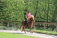 Islaenderhof-Osterferien-294.jpg