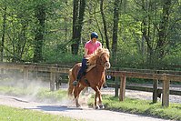 Islaenderhof-Osterferien-299.jpg