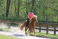 Islaenderhof-Osterferien-300.jpg