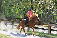 Islaenderhof-Osterferien-302.jpg