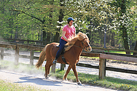 Islaenderhof-Osterferien-303.jpg