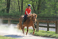 Islaenderhof-Osterferien-315.jpg