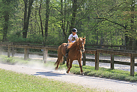 Islaenderhof-Osterferien-326.jpg