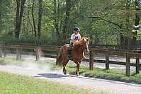 Islaenderhof-Osterferien-327.jpg