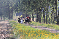 Reiterurlaub-Sommer-2011-8811.jpg