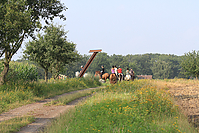 Reiterurlaub-Sommer-2011-8878.jpg