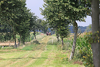 Reiterurlaub-Sommer-2011-8888.jpg