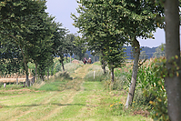 Reiterurlaub-Sommer-2011-8889.jpg