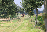 Reiterurlaub-Sommer-2011-8894.jpg